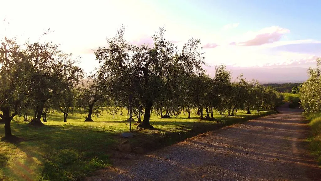 Podere La Casuccia Malmantile Apartment